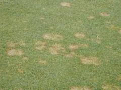 imagegen.aspx_7451171_0.jpg