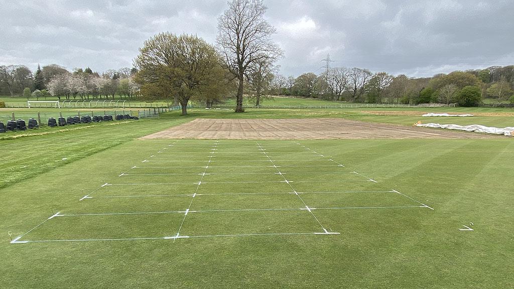 1024_x_576_primo_maxx_trial_plots_at_stri.jpg