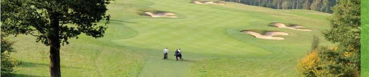 fairways-pic_7616.jpg