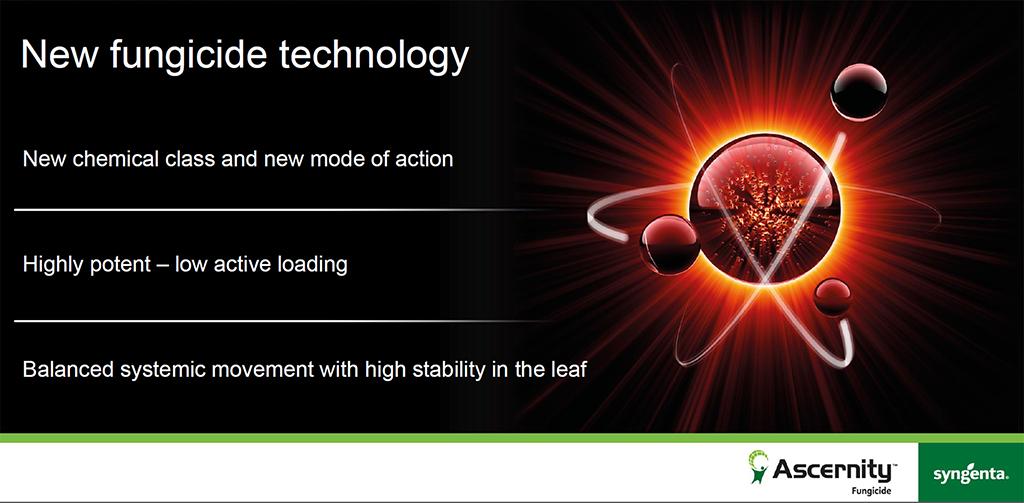 1024_x_500_ascernity_features.jpg