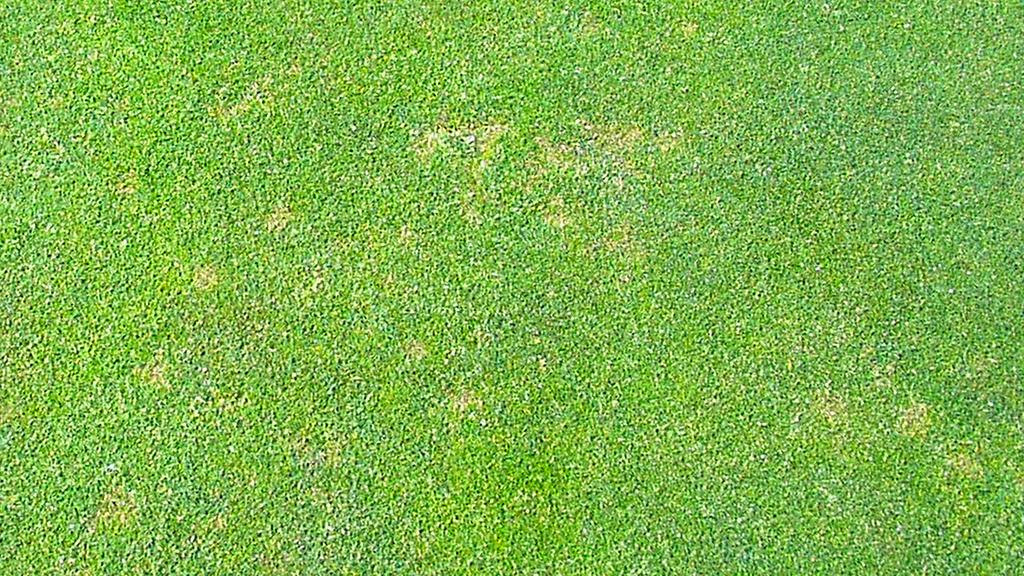 1024_x_576_dollar_spot.jpg