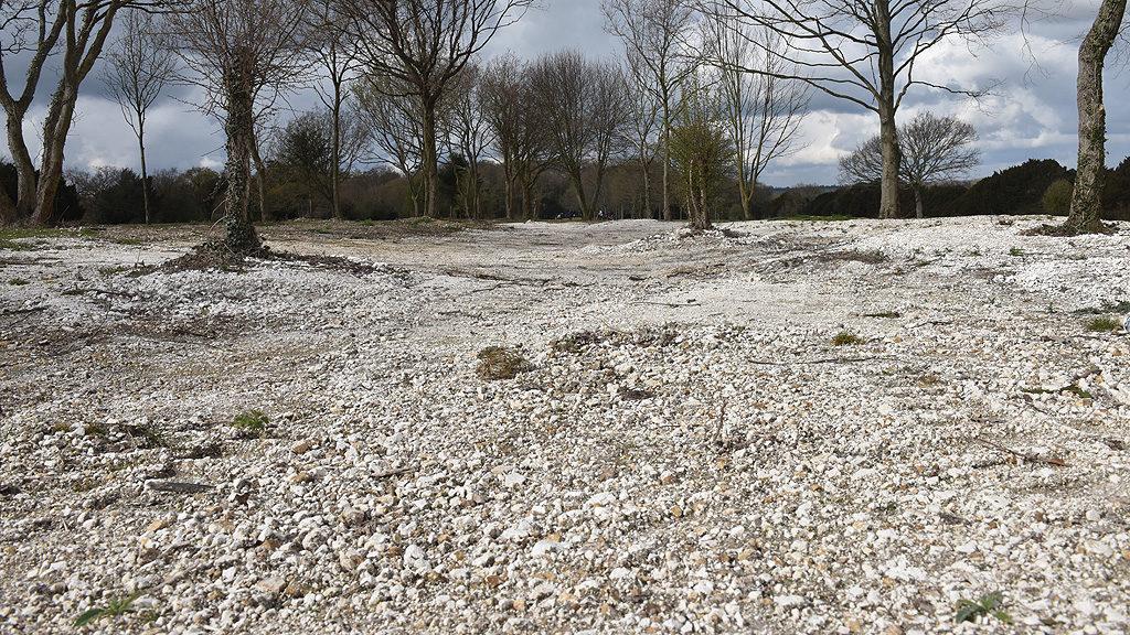 1024_x_576_corhampton_chalk_scrape_design_with_humps_and_hollows_to_give_shelter_and_warmth_for_plants_and_insects.jpg