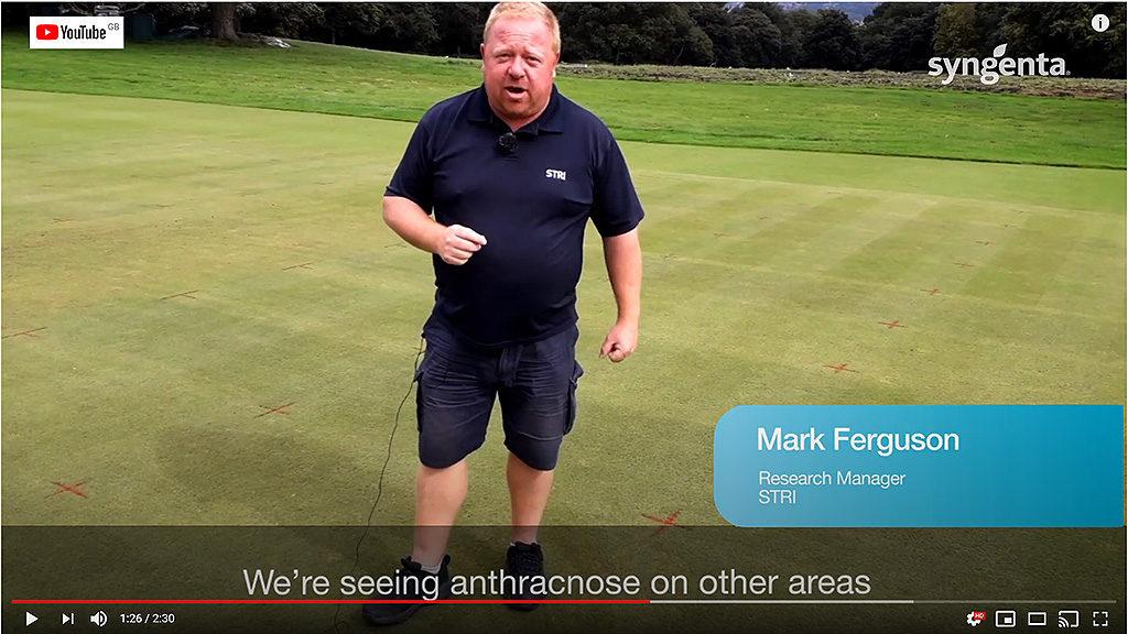 1024_x_576_mark_ferguson_video_screen.jpg