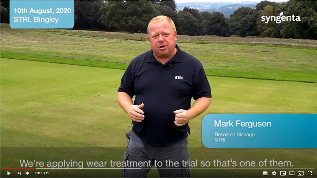 1024_x_576_mark_ferguson_video_screen.jpg