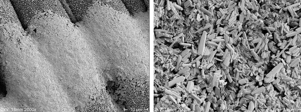 1024_x_576_medallion_tl_formulation_vs_iprodione.jpg