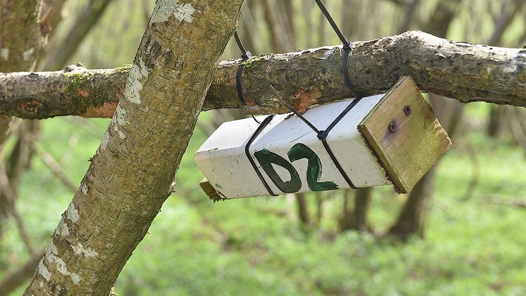 1024_x_576_providing_habitat_and_monitoring_for_species_diversity.jpg