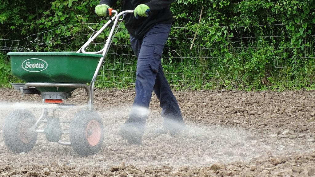 gaudet_luce_seed_sowing_mixed_with_sand