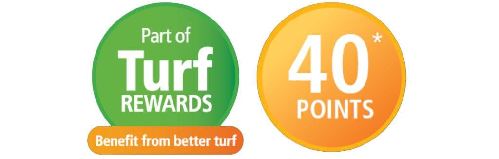 1024_x_326_aim_turf_rewards_points.jpg