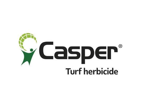 550x403px_casper_logo.jpg