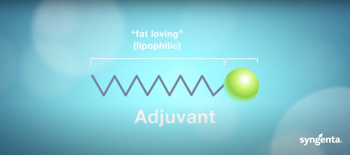 surfactants_lipophilic_diagram_1120x496px.png
