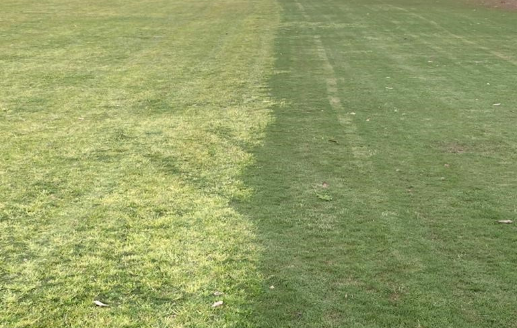 untreated_vs_treated