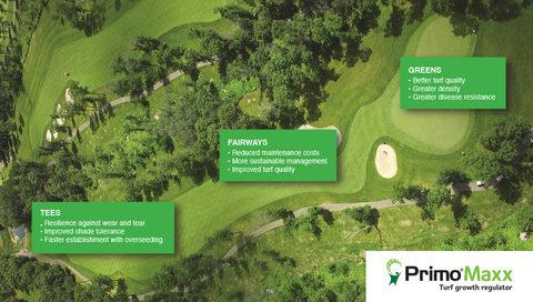 Primo Tee to Green image