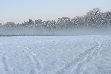snow_cover.jpg