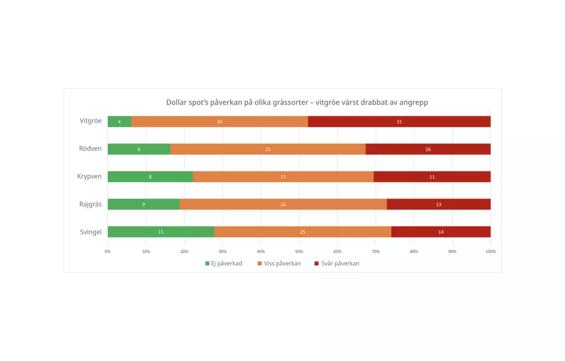 Dollar spot survey 2024
