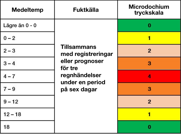 Microdochium tryckscala