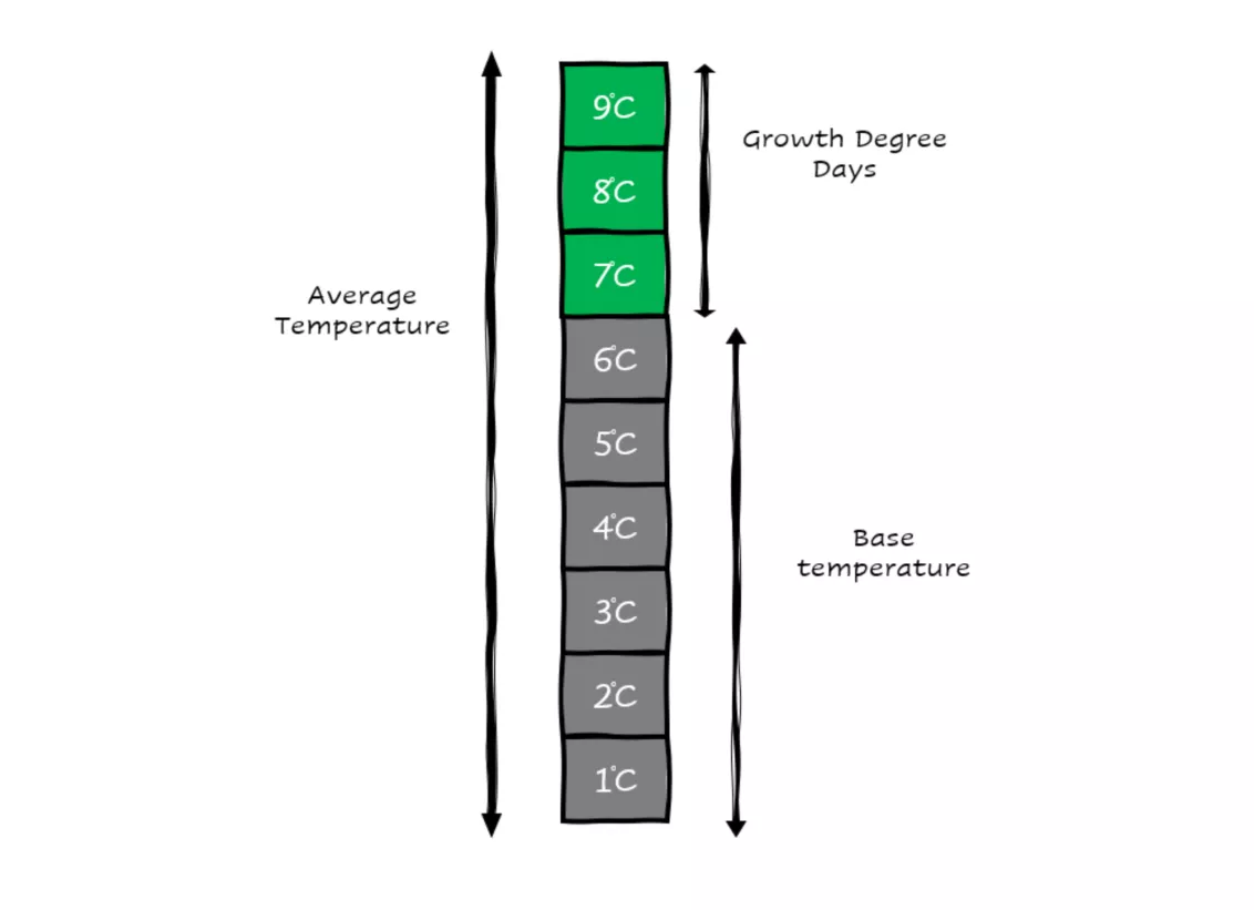 gdd model