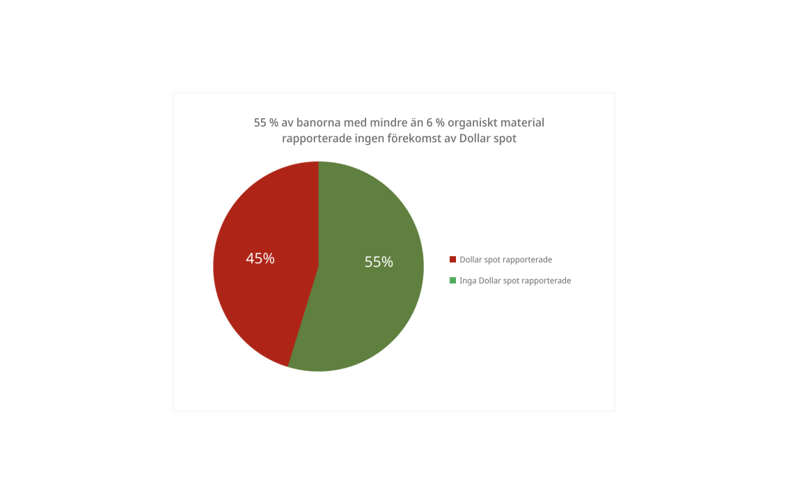 Dollar spot survey 2024