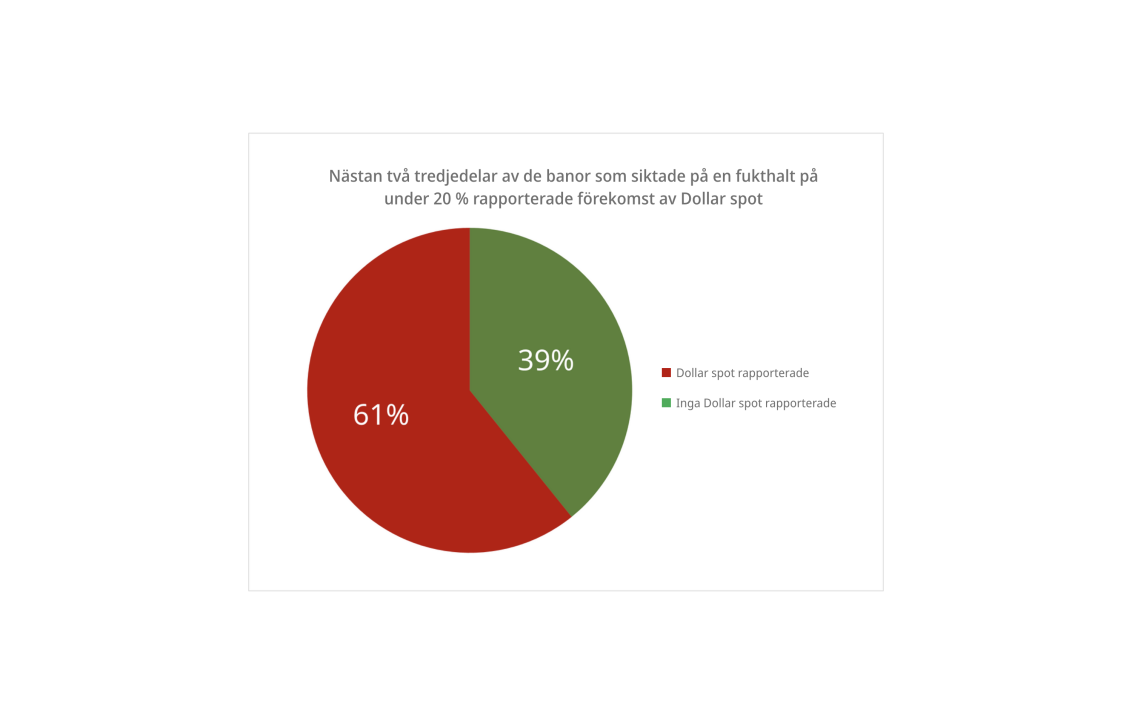 Dollar spot survey 2024