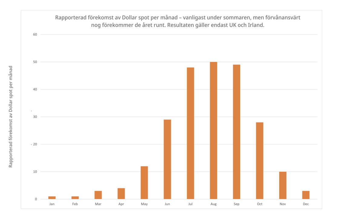 Dollar spot survey 2024