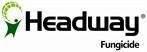 Headway logo