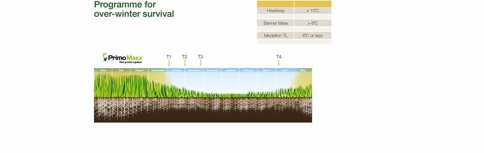 overwintering survival