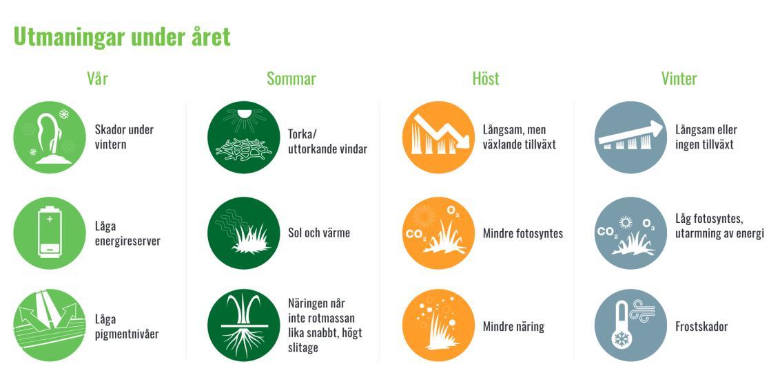 utmaningar under aaret