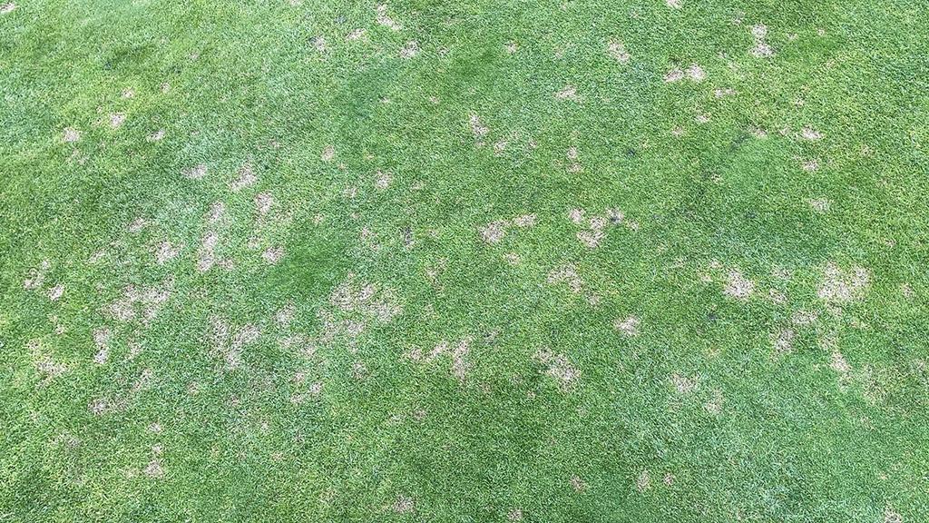 1024_x_576_dollar_spot_3.jpg
