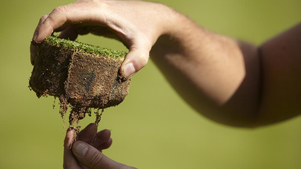 Soil target for fairy ring pathogens