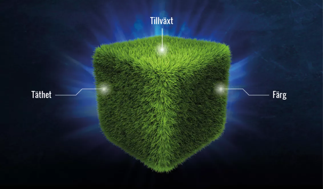 syngenta hicure