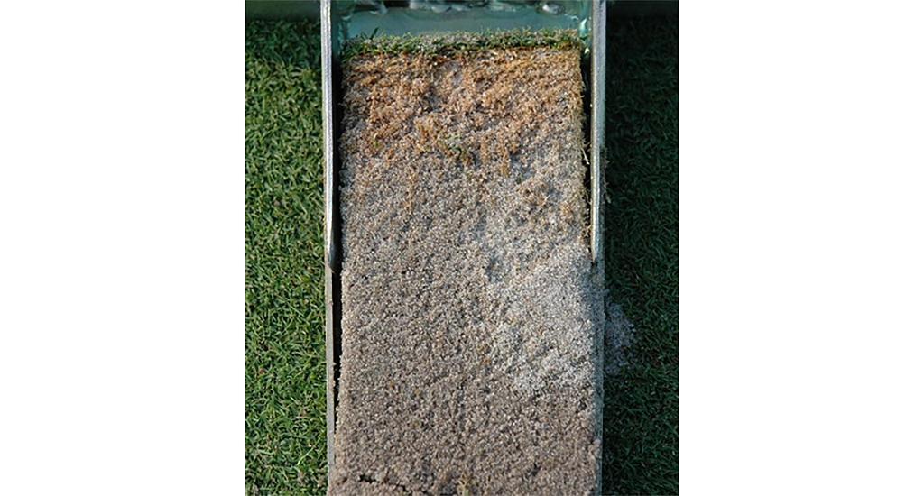 1024_x_550_hydrophobic_soils_as_a_result_of_fairy_ring_pathogen_activity.jpg