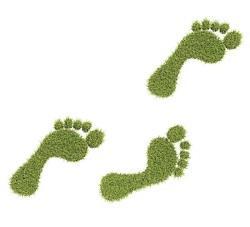 grass_feet_smaller-carbon