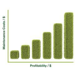 grass_graph_increased