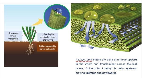 active_recycling