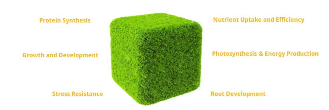 cube2_0