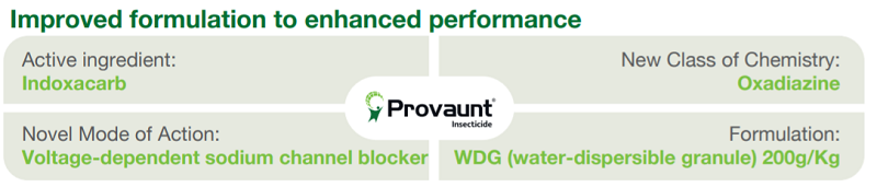 provaunt_article_image