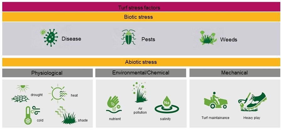 turf_stress_factors