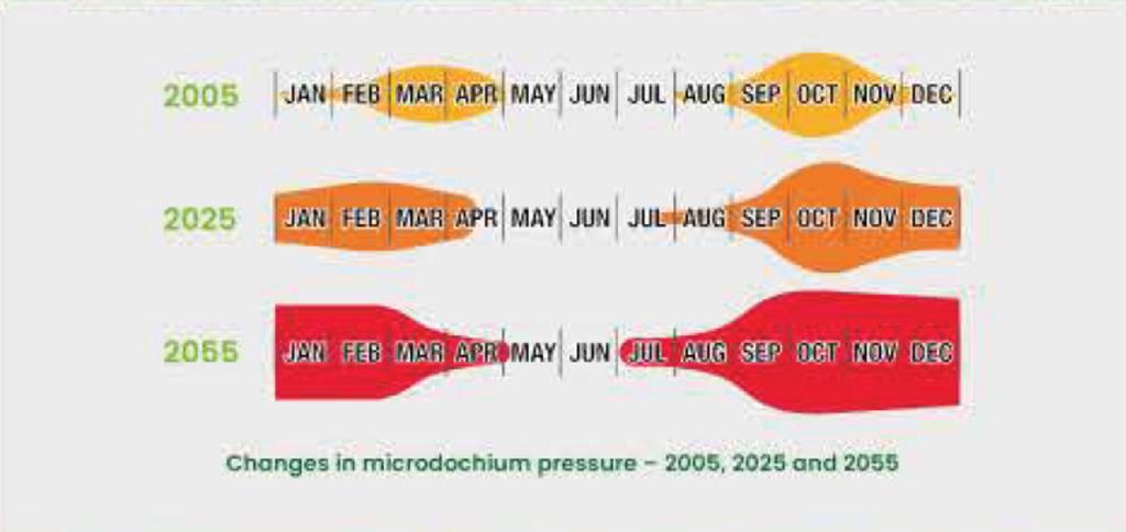 1024_x_484_changing_disease_pressure.jpg