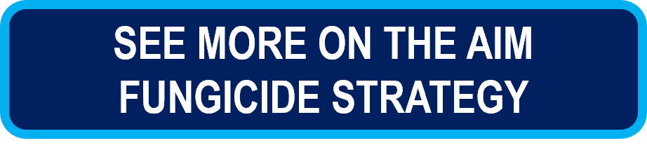 see_more_on_the_aim_fungicide_stratgey.png