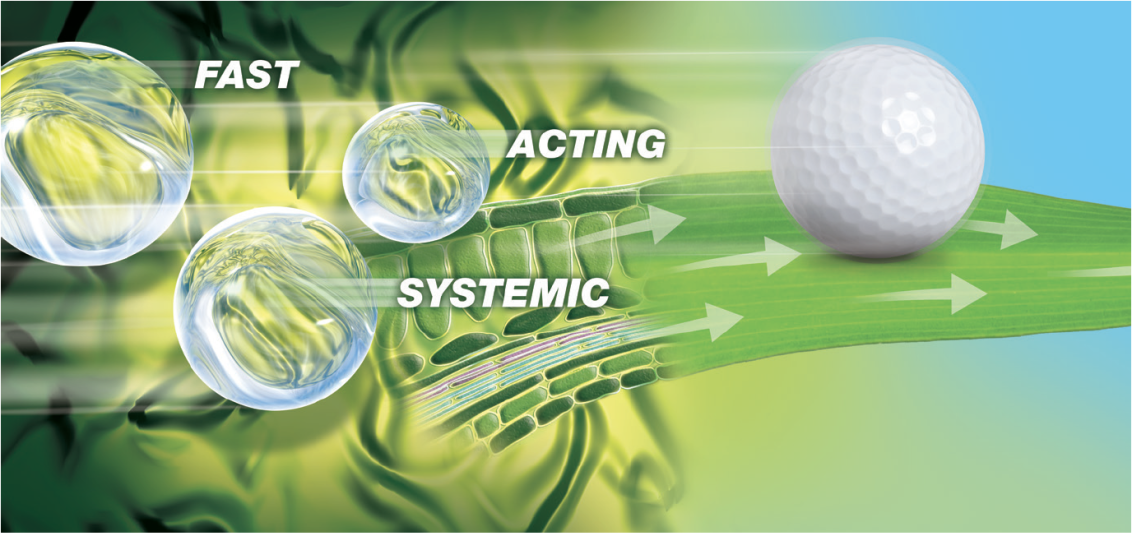 Fast Acting Systemic