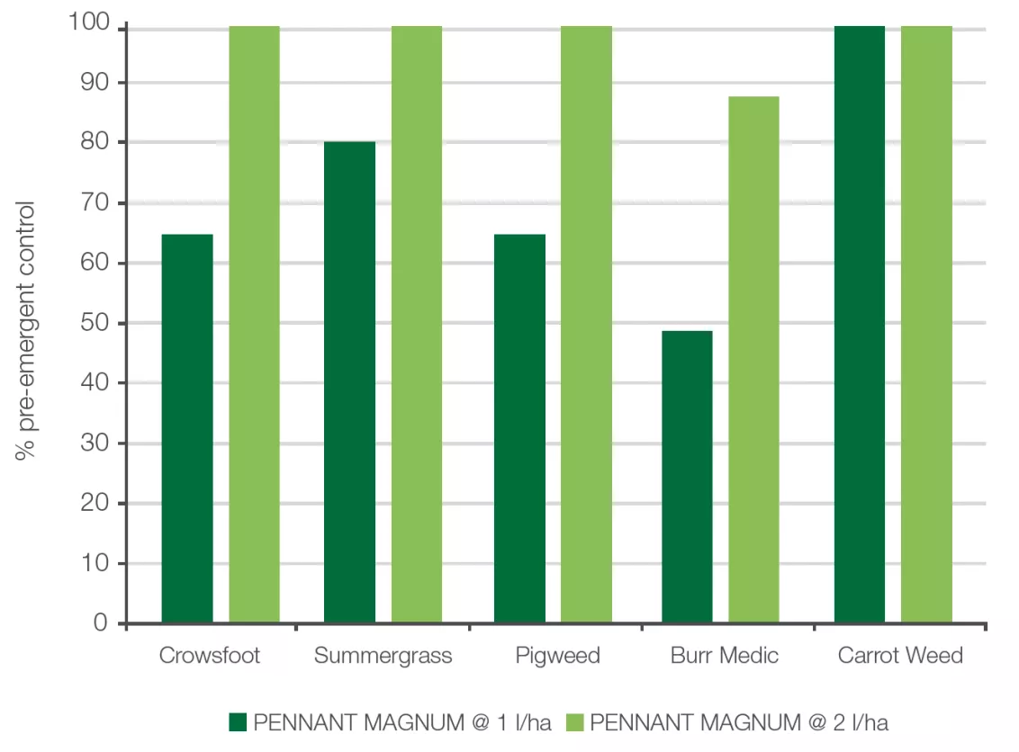 Control of Various Weeds 3 Months After Application
