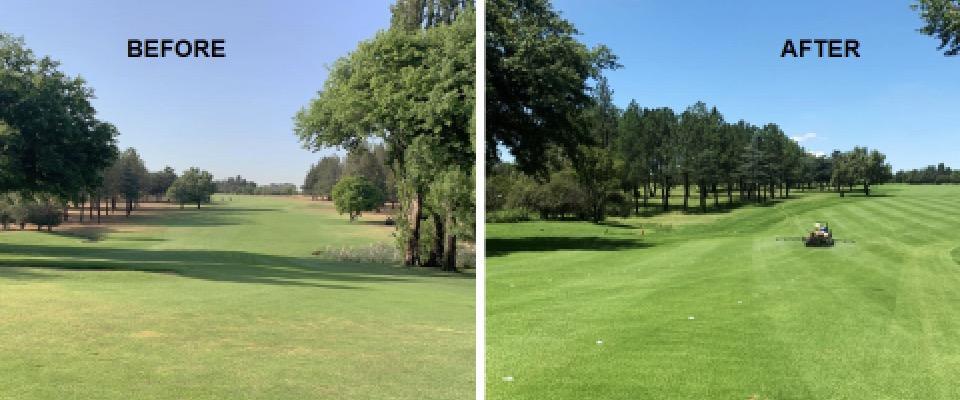 Primo Maxx SA Fairway Trials