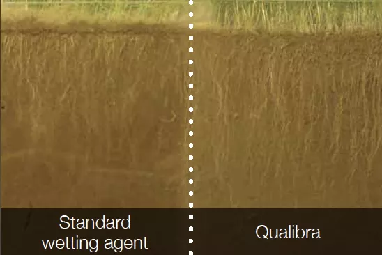 Qualibra enhanced root development