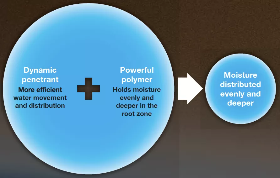 Dynamic penetrant and powerful polymer