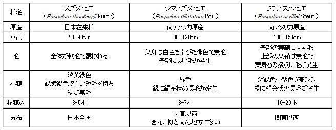 スズメノヒエ