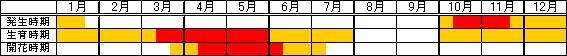ハルガヤ