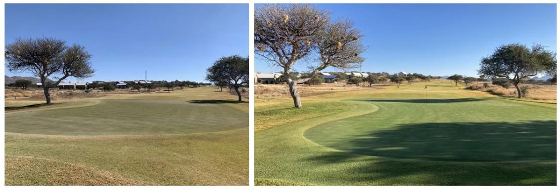Ryder Turf Pigment - before and after