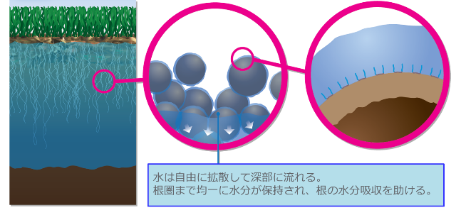 芝生用浸透材 クアリブラ