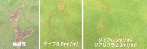 芝生用浸透材 クアリブラ