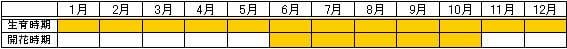 チドメグサ