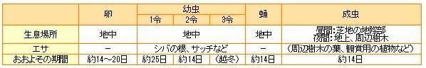 チビサクラコガネ